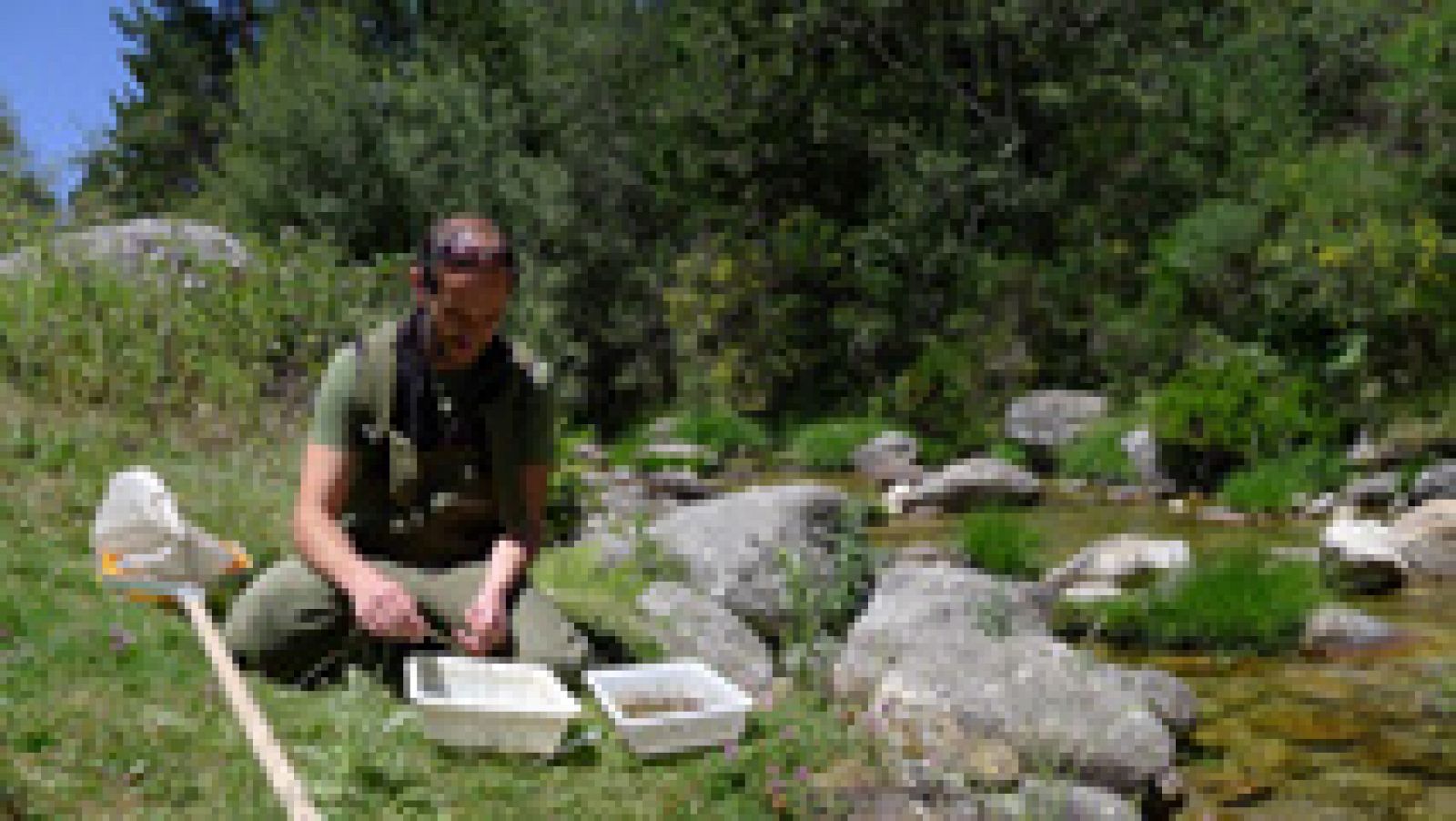 Aquí la Tierra: ¿Qué calidad tiene el agua de la Sierra madrileña? | RTVE Play