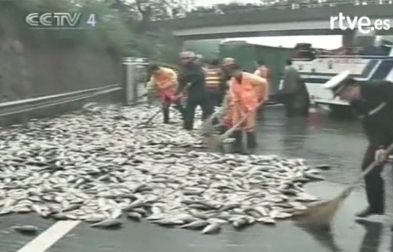 19 toneladas de peces cortan una carretera en China