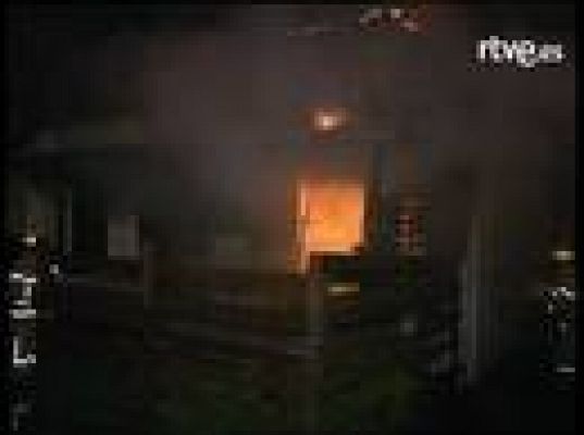  - Un verdadero héroe canino