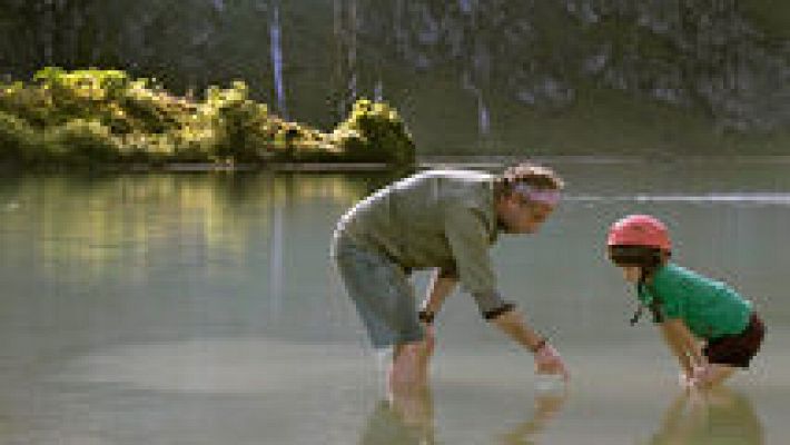 Versión española - ¿Para qué sirve un oso?