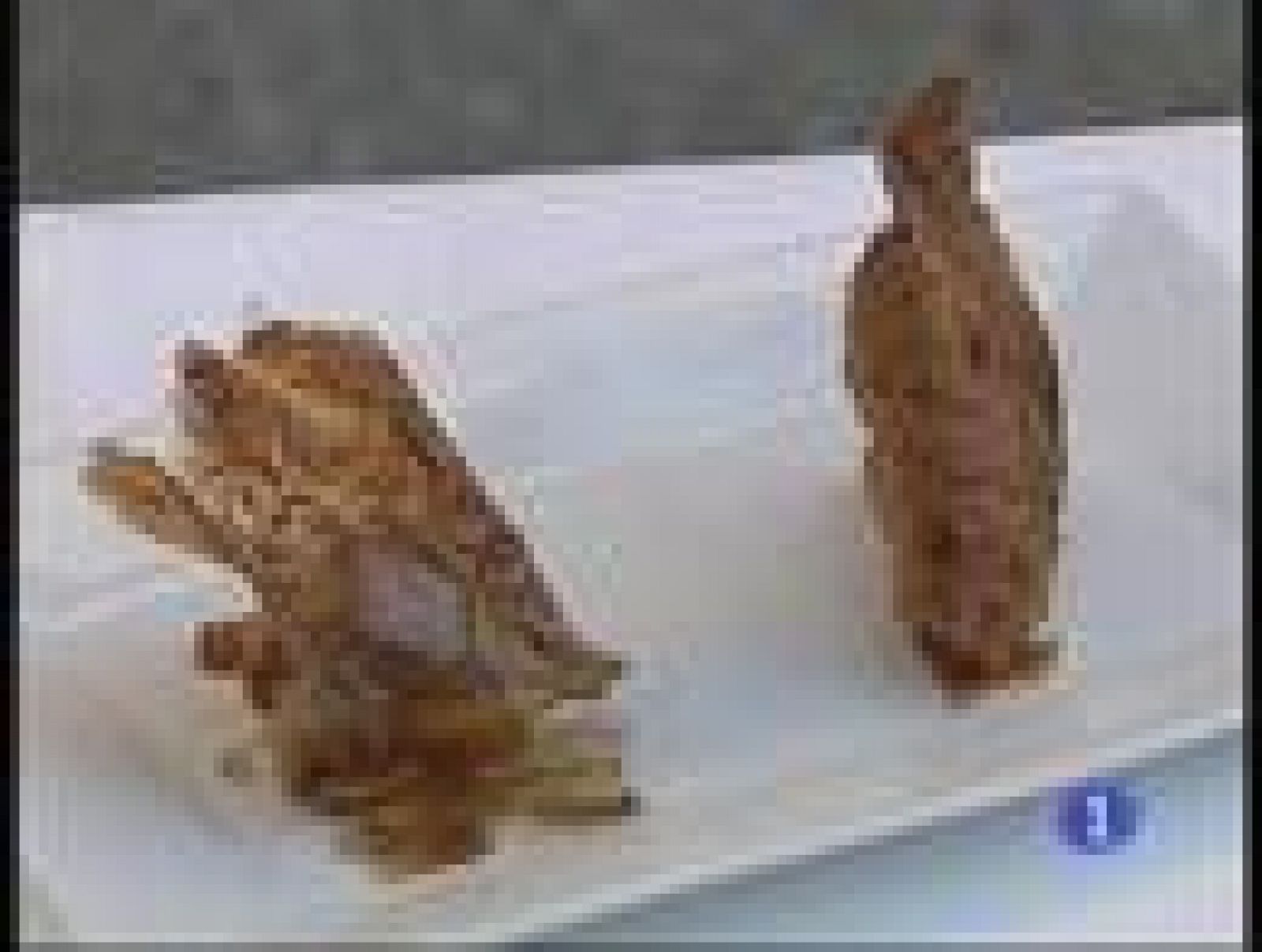 Primer congreso internacional de micología | Ver