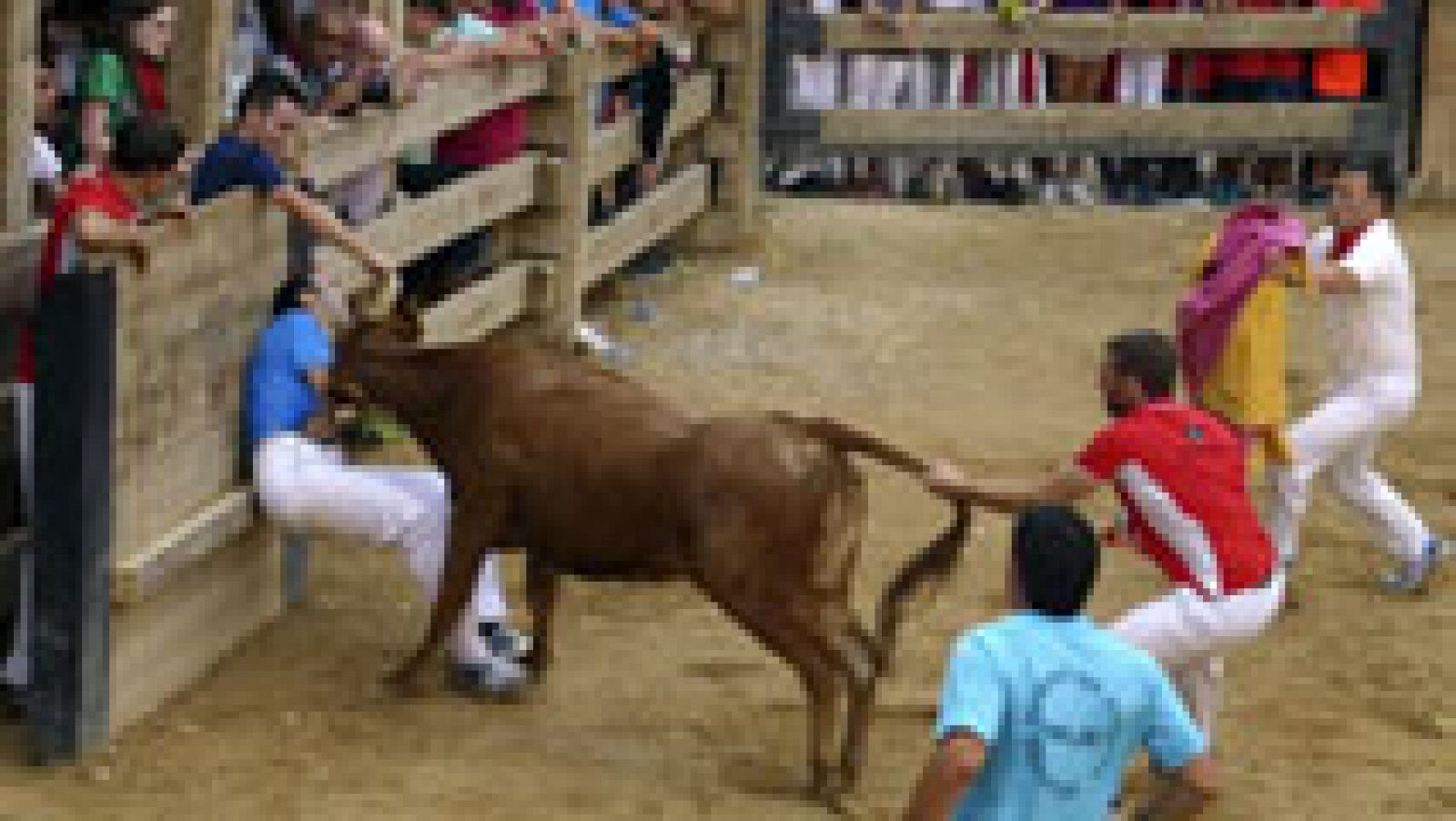 Telediario 1: La normativa de los espectáculos taurinos está cedida a las CC.AA. | RTVE Play