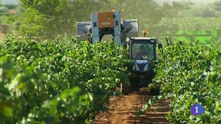 Noticias de Castilla-La Mancha - Noticias de Castilla-La Mancha 19/08/15