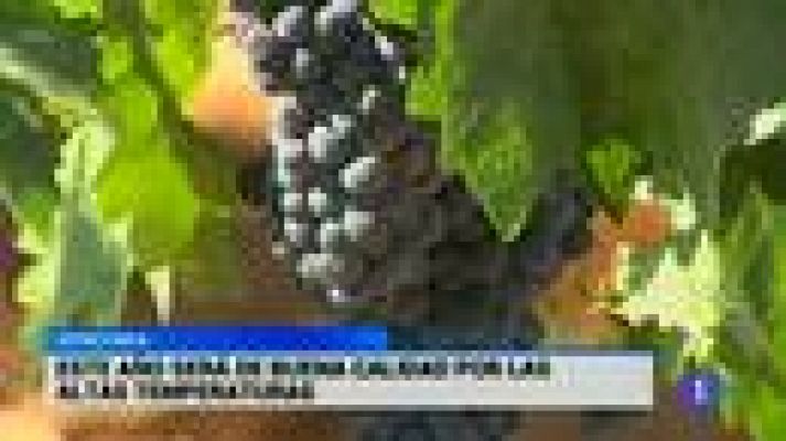 Noticias de Castilla-La Mancha - Noticias de Castilla-La Mancha 19/08/15