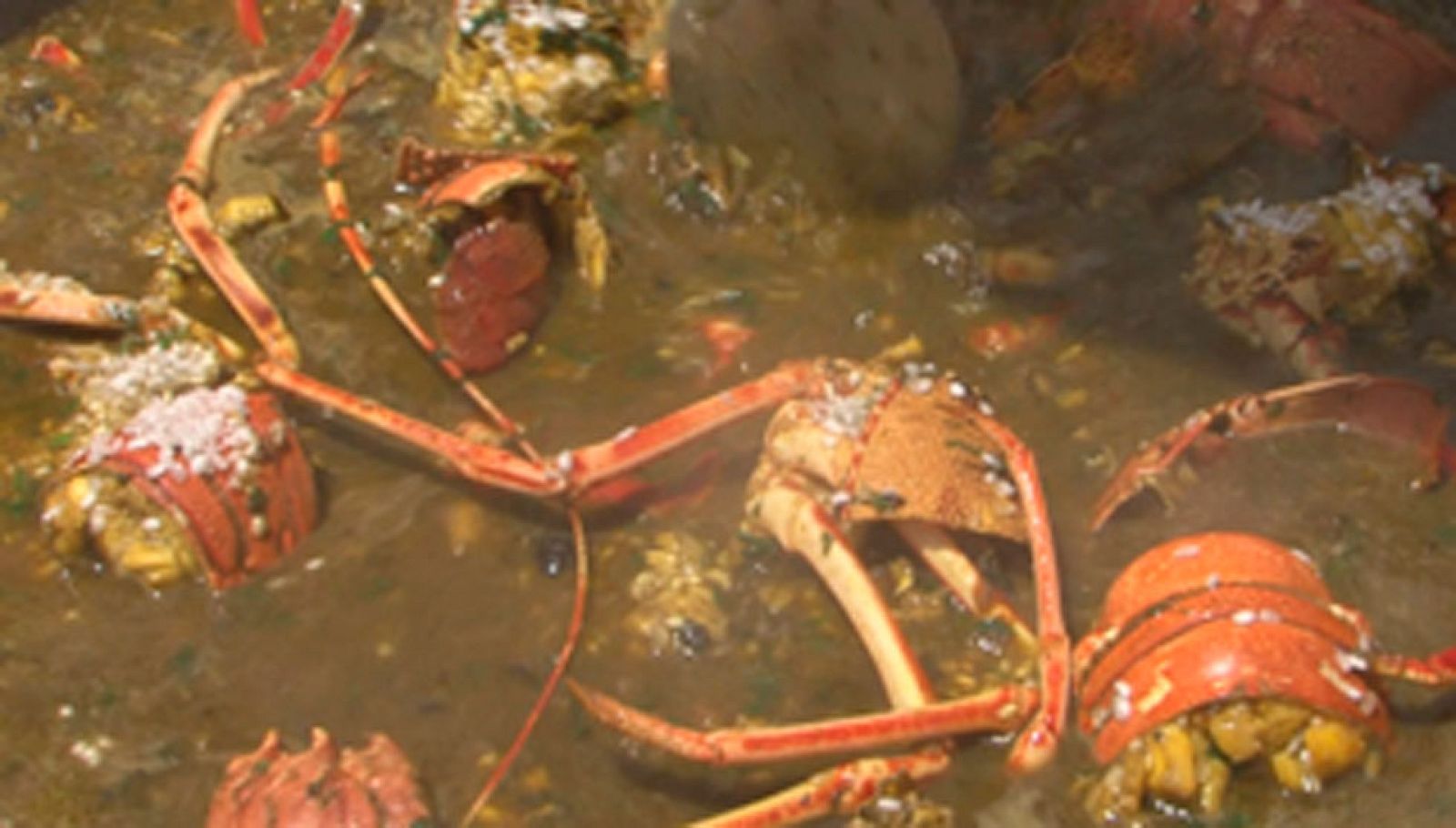 Comando al sol - Pescando langostas en Ibiza