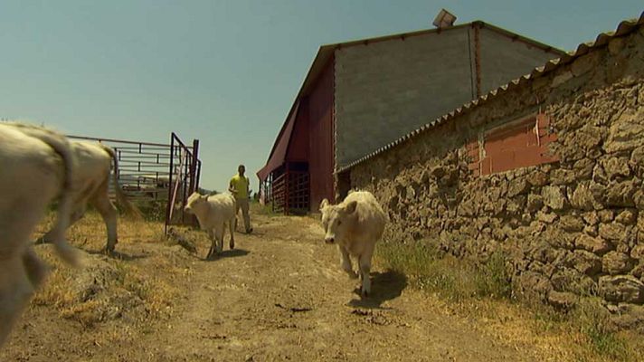 Telediario 1 - Los pueblos se reinventan para atraer turistas