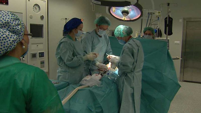 Polémica en torno a la cesárea 