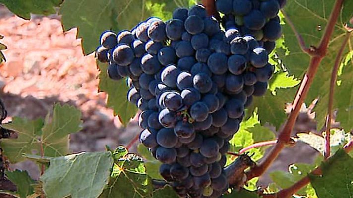 España en 24h - España en 24 horas - 21/08/15