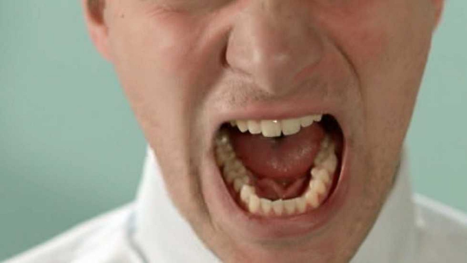 Brain Games - La ira - ver ahora