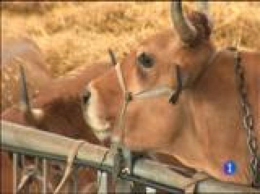 Panorama Regional - Asturias en 2' - 25/08/15