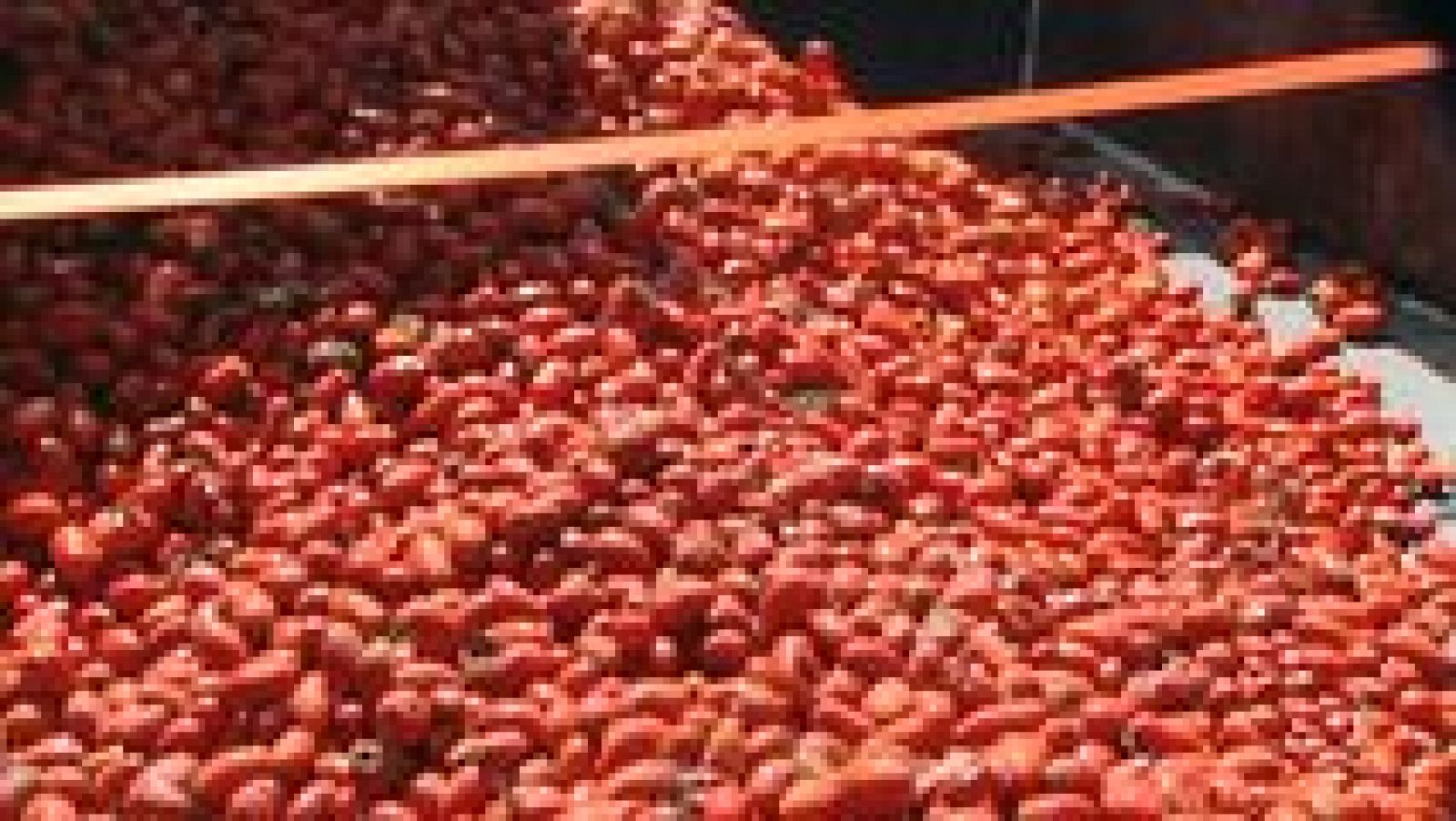 L'Informatiu - Comunitat Valenciana - 25/08/15 - Ver ahora