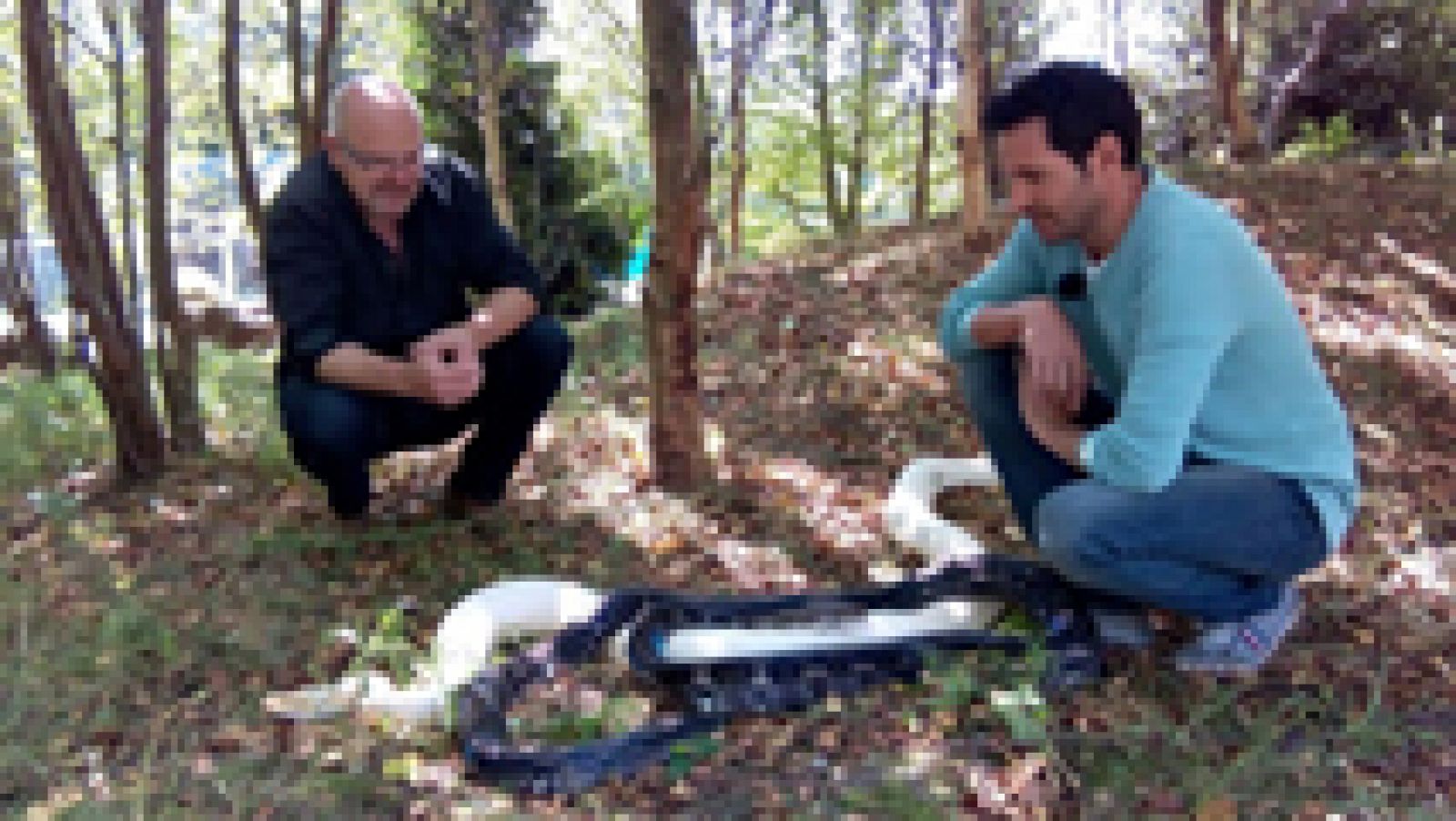 No tenemos miedo a nada, ¡ni a las serpientes!