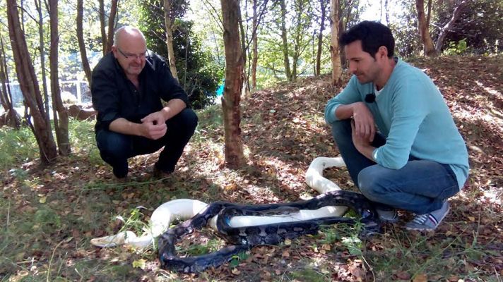 Aquí la Tierra - No tenemos miedo a nada, ¡ni a las serpientes!
