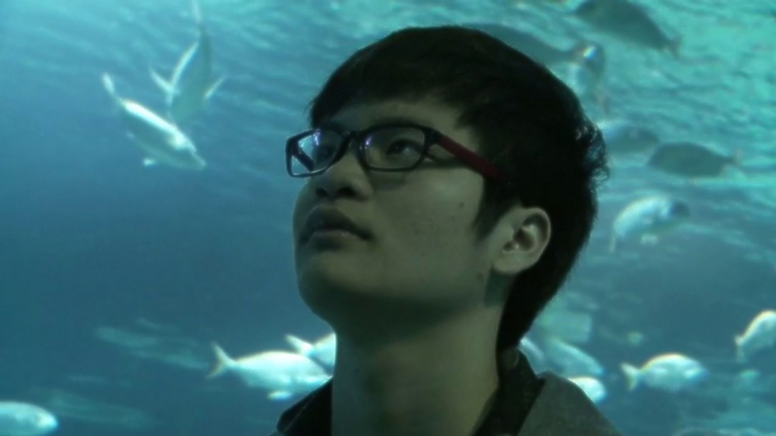 China en la maleta - Promo - El documental | Ver