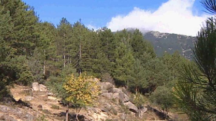 Informativo de Madrid - El Tiempo en la Comunidad de Madrid - 27/08/15