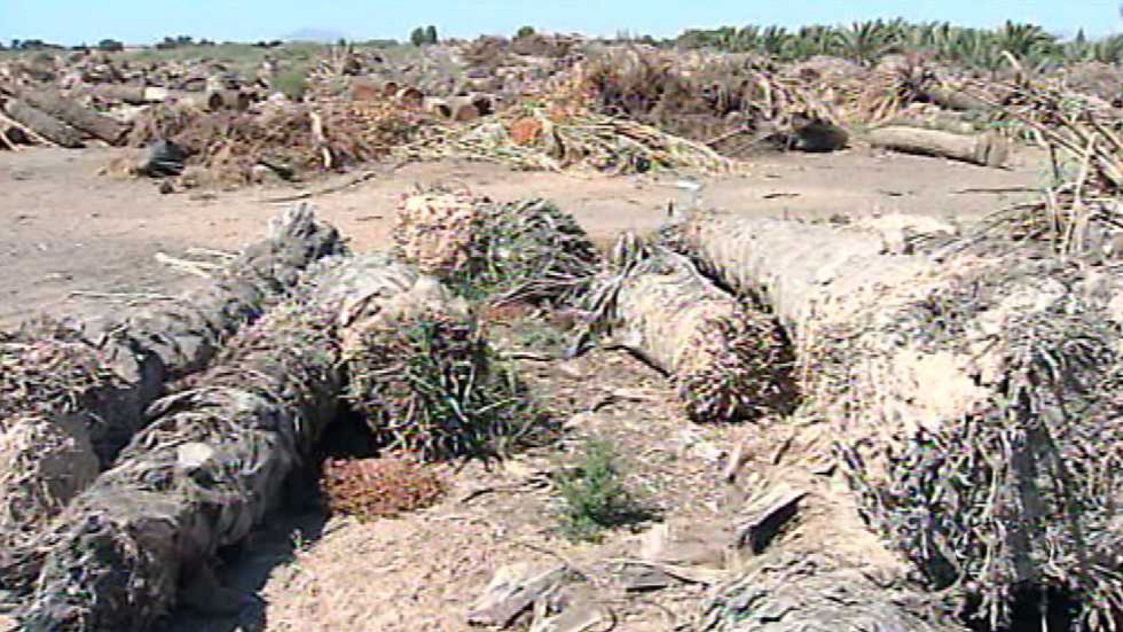 L'Informatiu - Comunitat Valenciana - 27/08/15 - Ver ahora