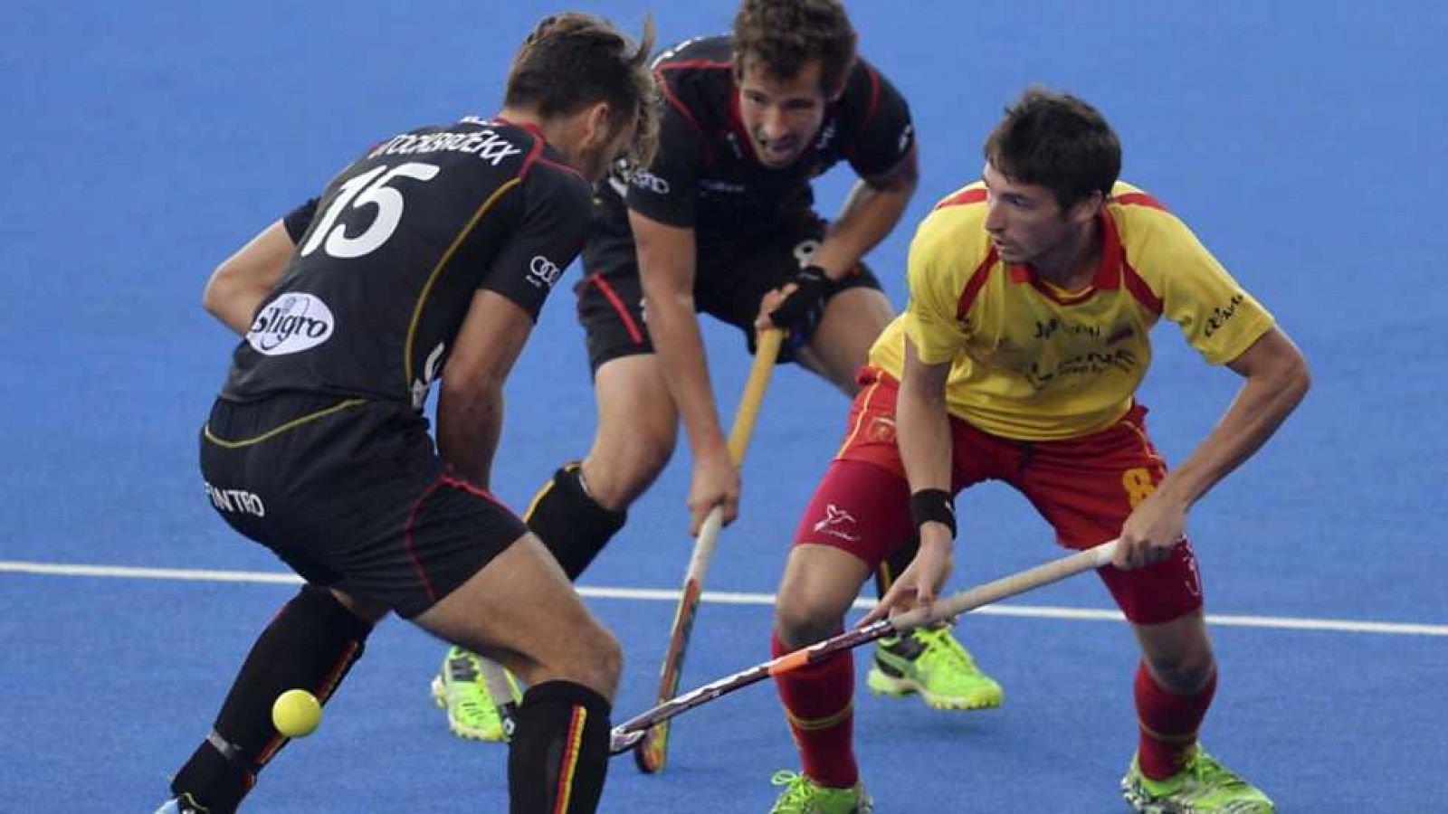 Hockey hierba - Campeonato de Europa Masculino: España - Bélgica