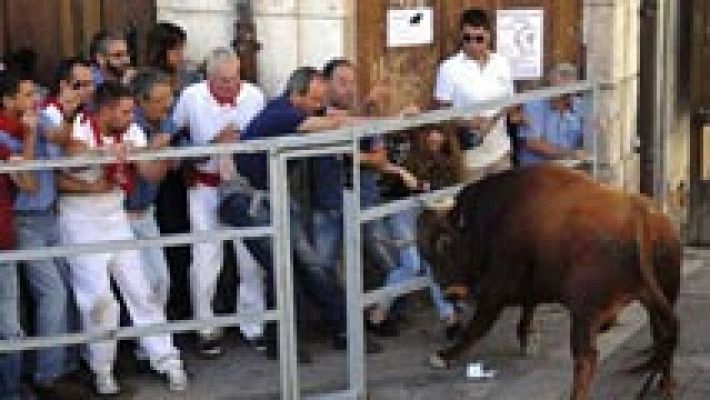 Telediario 1 - Doce personas han muerto en festejos taurinos en 2015