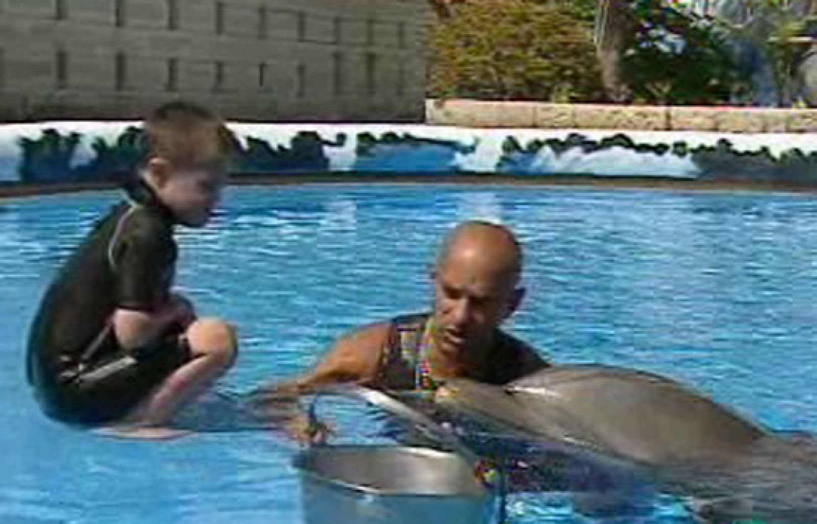 La aventura del saber - Delfines contra el autismo - 30/10/08 - La aventura del Saber | Ver