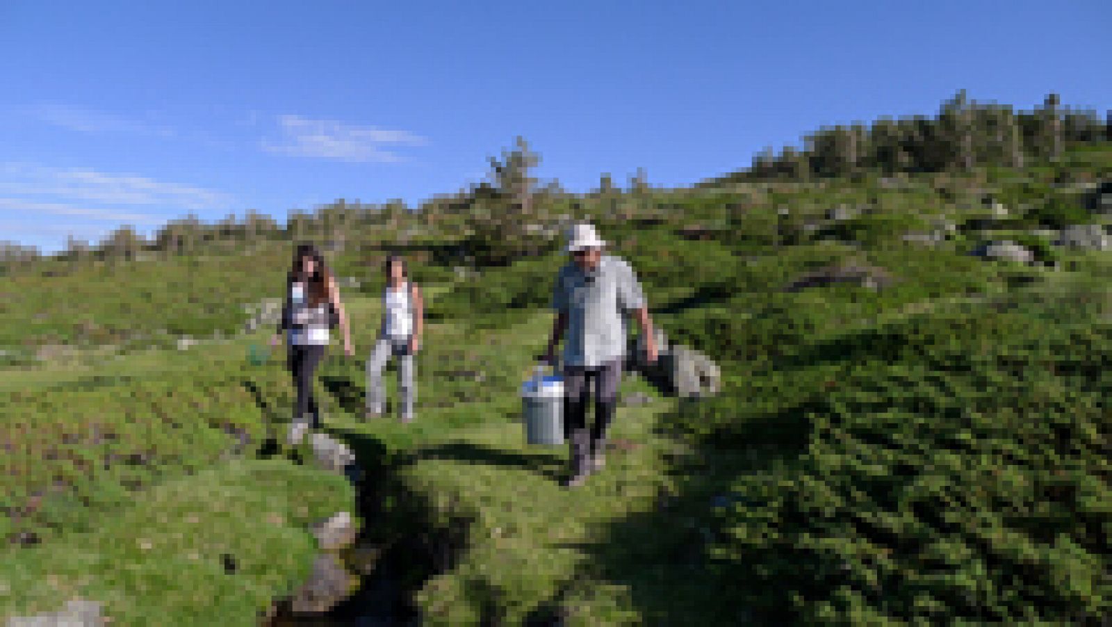 Repoblando ranas en Guadarrama