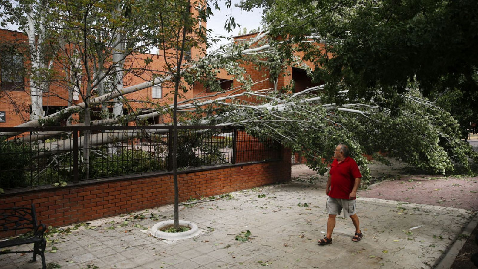 Numerosos daños en varias comunidades por las fuertes tormentas | Ver