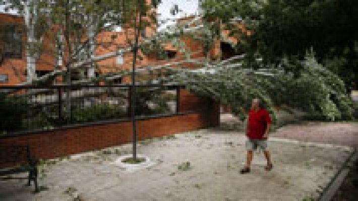 Numerosos daños en varias comunidades por las tormentas