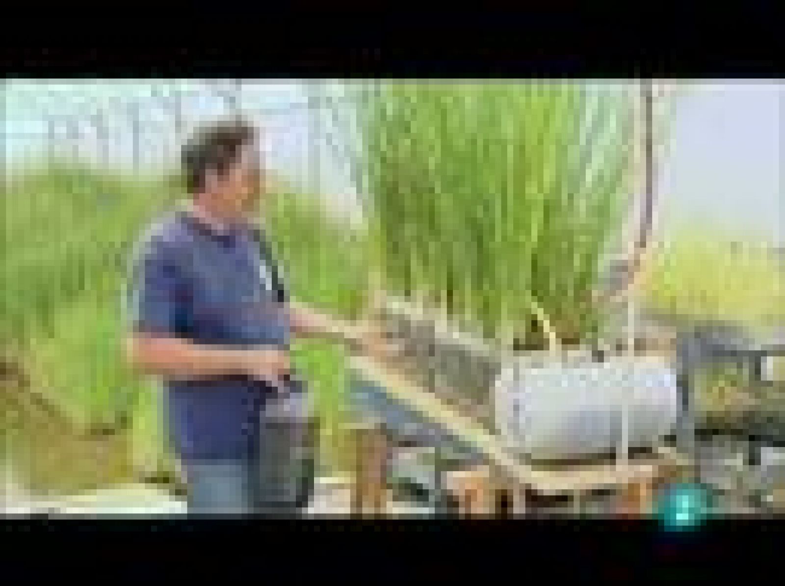 Fábrica de Ideas - Invierte: Aquaphytex | Ver