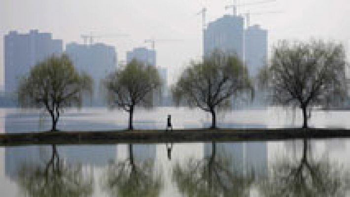 Telediario 1 - Tres billones de árboles en la Tierra, casi ocho veces más de lo que se pensaba