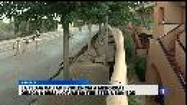 Informatiu Balear - Continuen les tempestes a les illes