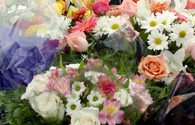  - Flores para Todos los Santos