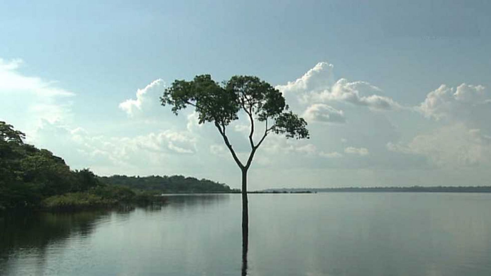 Grandes documentales - Patrimonio de la humanidad: complejo de conservación de la Amazonía Central