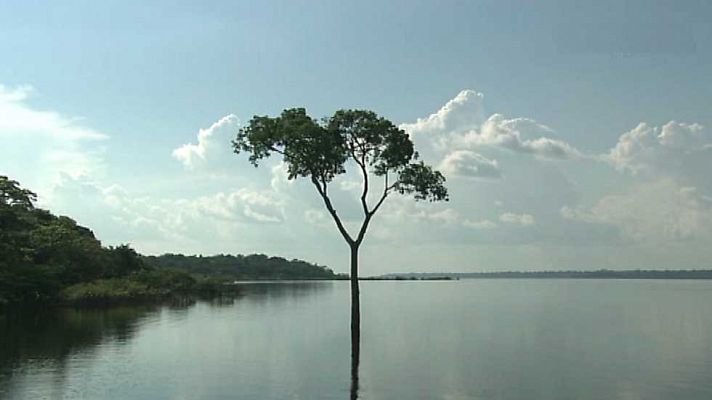 Complejo de conservación de la Amazonía Central