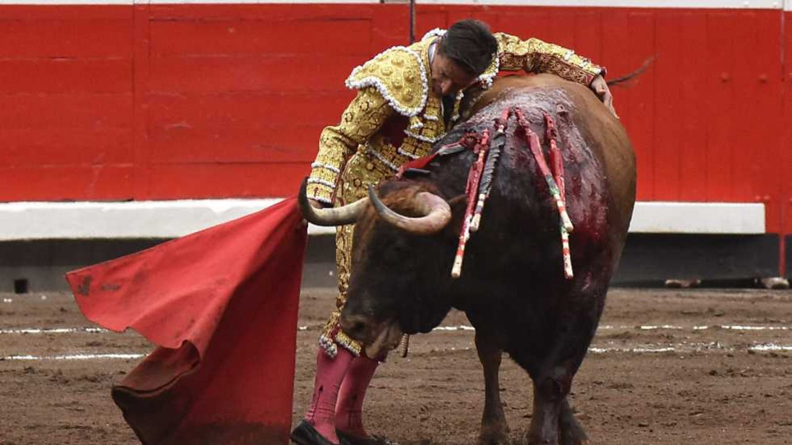 Tendido Cero - 05/09/15 - ver ahora