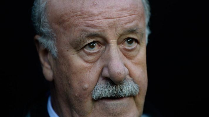 Eurocopa - Del Bosque: "Lo de Piqué me parece lamentable"
