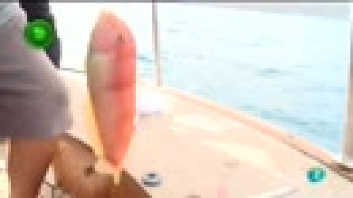 Agrosfera - Pesca del Raor