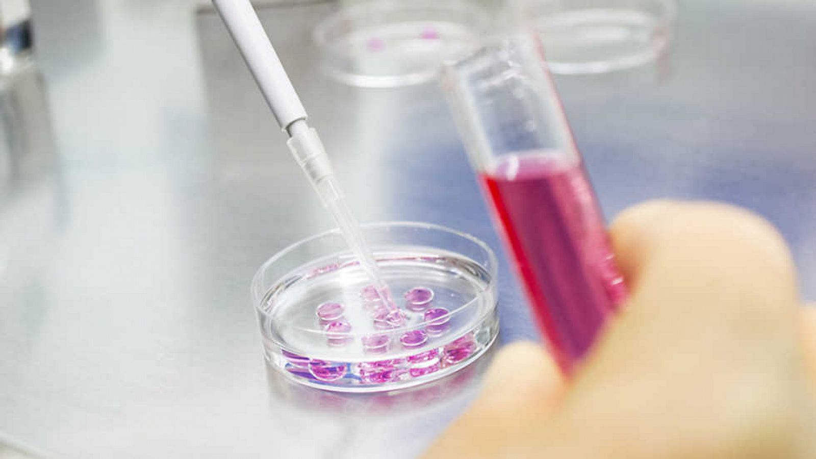 Documenta2 - Nanotecnologías. La Revolución Invisible - ¿Por un planeta más verde? - ver ahora