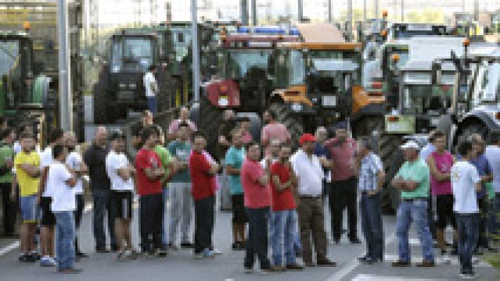 Telediario 1 - Los ganaderos gallegos protestan por el bajo precio de la leche