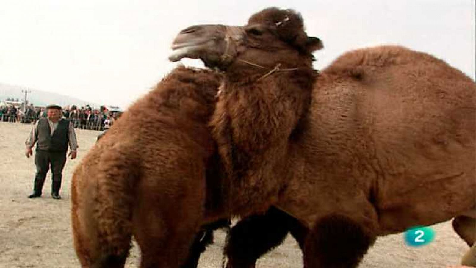 Otros pueblos: El ojo del camello | RTVE Play