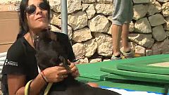 El número de abandonos de estas razas ha crecido considerablemente