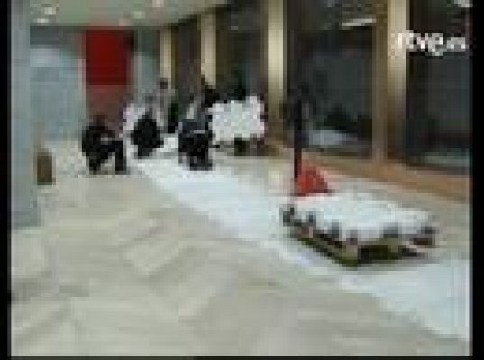  - Los 'dioses' de Dresde en el Prado