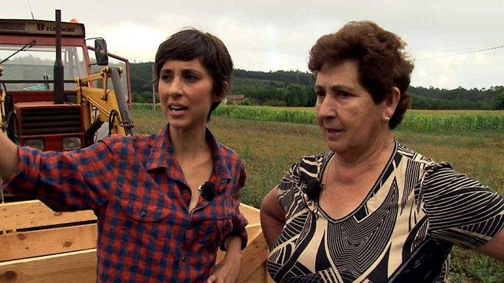 Comando Actualidad - De temporada