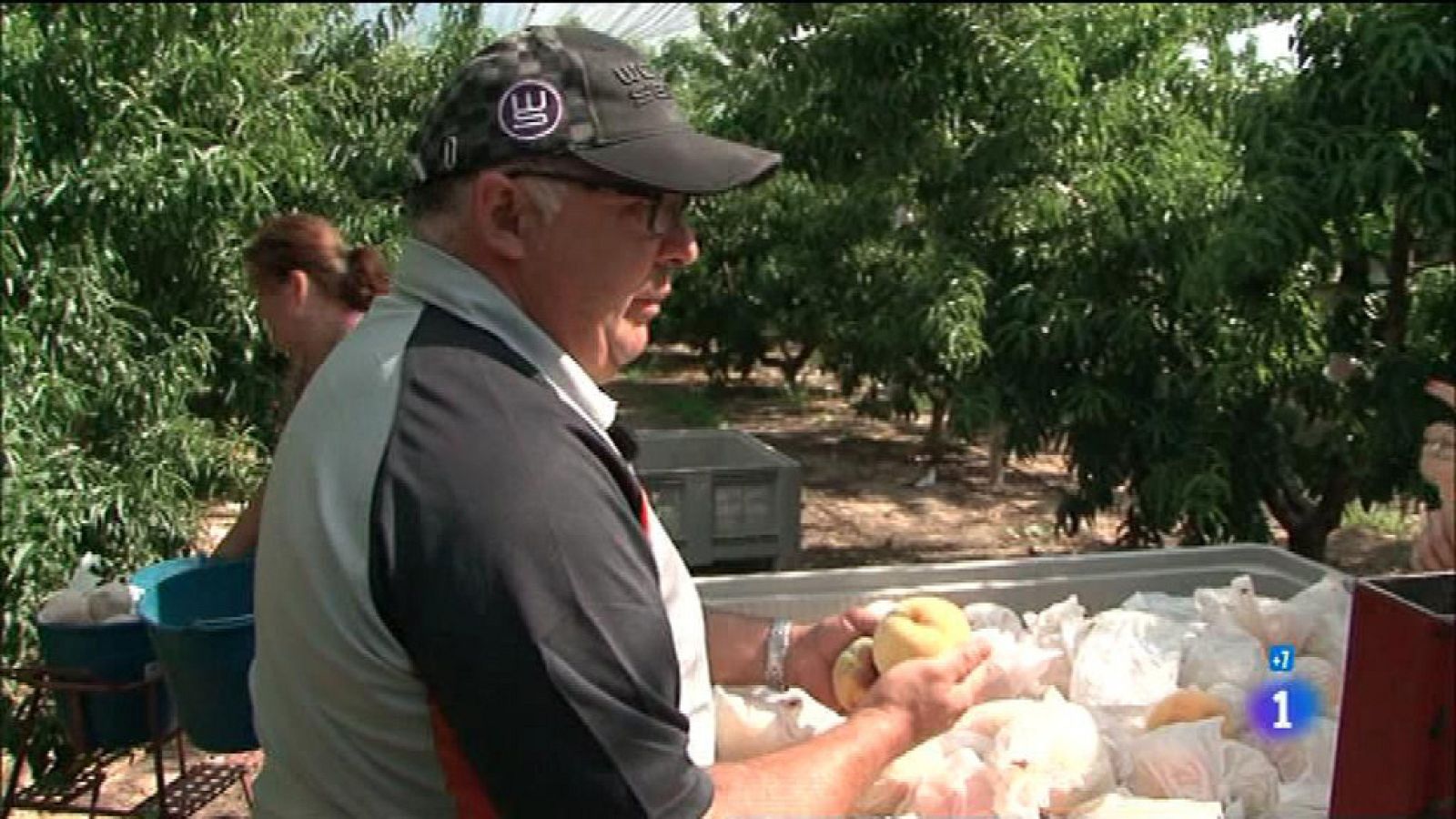 Comando actualidad - De Temporada - Melocotón de Calanda