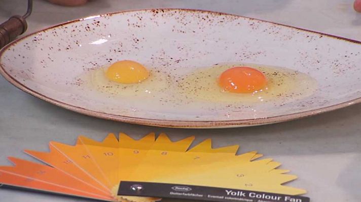 Torres en la cocina - Huevos