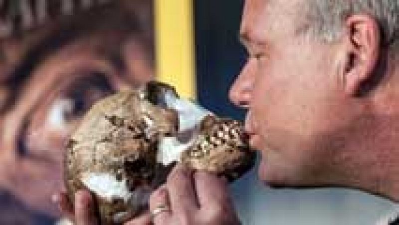Descubierta una nueva especie de homínido: el 'Homo naledi' 