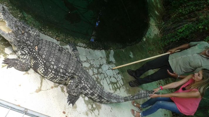 Aquí la Tierra - La reportera que aprendía de los cocodrilos