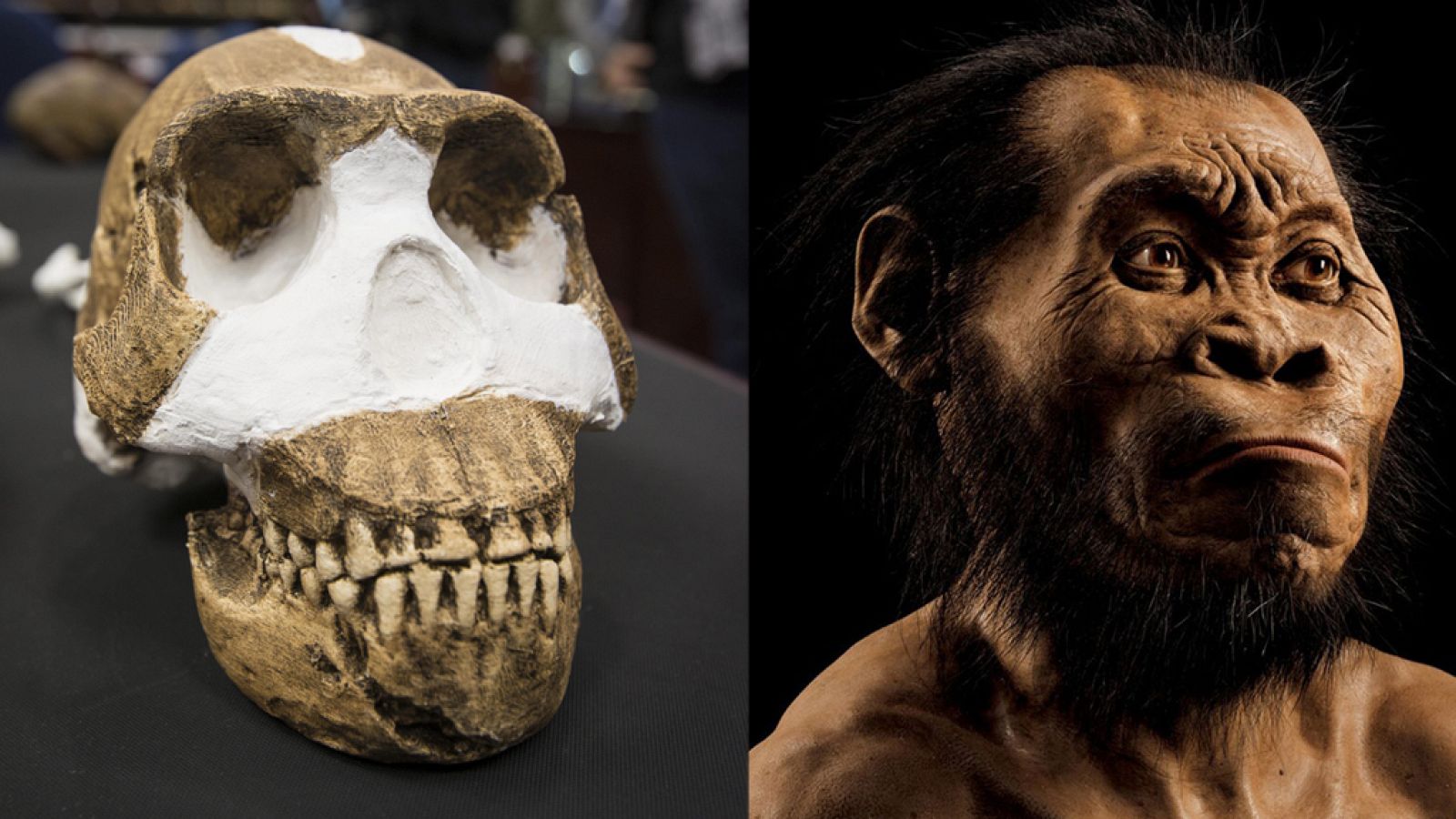 Informativo 24h: El Homo Naledi, una nueva especie de homínido descubierto en Sudáfrica | RTVE Play