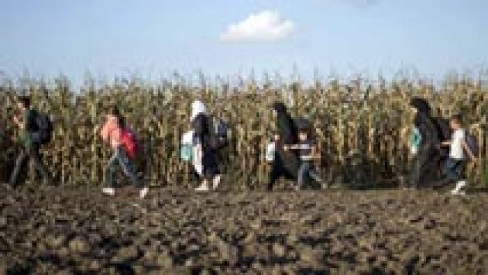 Telediario 1 - La solicitud de asilo es un derecho universal