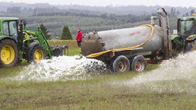 Ganaderos gallegos derraman 130.000 litros de leche en protesta por los bajos precios del sector