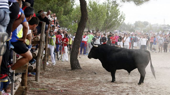 Los desayunos - La polémica en torno al Toro de la Vega de Tordesillas tiene historia