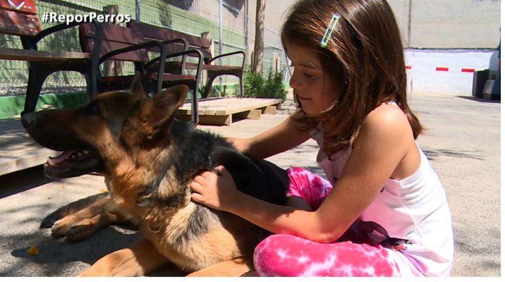 Repor - Repor - Cuidado con el dueño